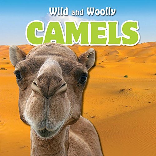 Camels (Wild and Woolly)