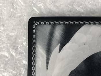 Amazon.co.jp: ws SSP “ホーネットジャベリン”フェイト サイン入り