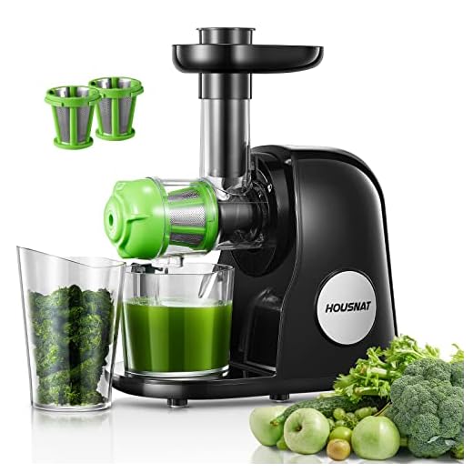 Juicer Machines, HOUSNAT Slow Masticating Juicers Whole Fruit and Vegetable, Professional Cold Press Juicer Extractor with Quiet Motor and Reverse Function Easy to Clean, Brush & Recipes Included