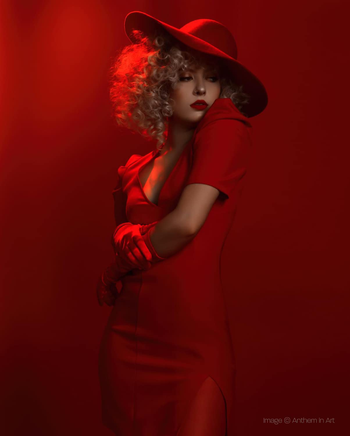 Rogue Gel Flash rotondi - Collezione Ultimate Portrait