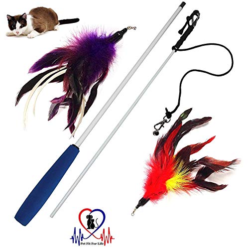 Pet Fit For Life Cat Wand Toy - Irresistible Cat Flirt Pole - Ultimate Feather Teaser For Indoor Cats - Safe & Durable For Interactive Play #TOP1