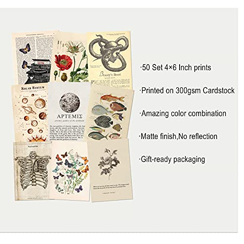 Koskimer 50Pcs Vintage Wall Collage Kit Aesthetic Pictures, Posters For Room Aesthetic Vintage, Cottagecore Room Decor For Bedroom Aesthetic, Cute Dorm Photo Collage For Teen Girls, Botanical Wall Art #TOP1