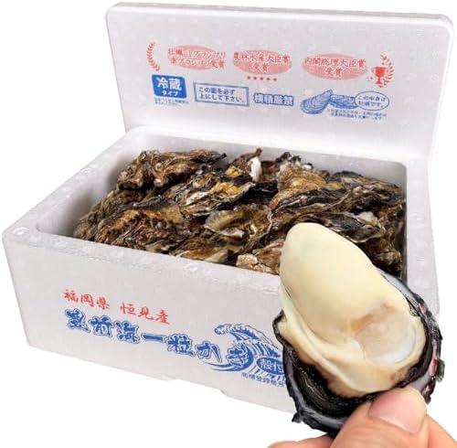 豊前海一粒かき 牡蠣 生牡蠣 【衛生検査済み】殻付き 生食用 清水水産 (Mサイズ5kg)