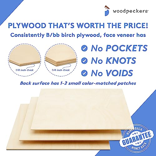 Baltic Birch Plywood, 6 Mm 1/4 X 12 X 24 Inch Craft Wood, Box Of 6 B/Bb Grade Baltic Birch Sheets, Perfect For Laser, Cnc Cutting And Wood Burning, By Woodpeckers #TOP2