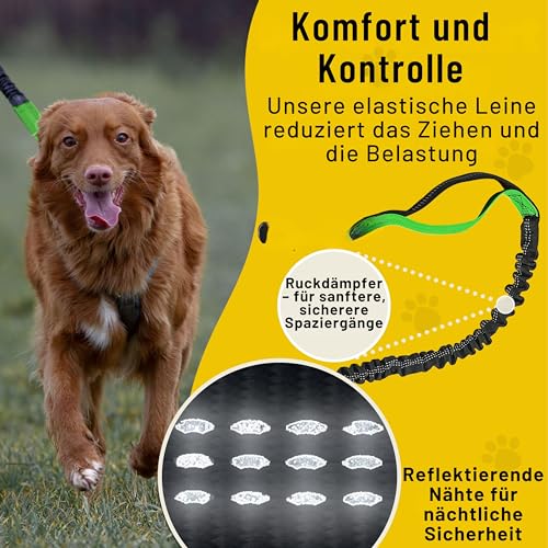 Hundefreund Bungeeteil für Joggingleine - 120 cm Ersatzleine mit elastischem Gummizug und 2 Schlaufen - Verlängerung für Hundeleine (Grün)