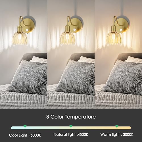 Image of 2 Pack Battery Powered Wall Sconce with Amber Tulip Glass Lampshade, Rechargeable Dimmable LED Wall Sconce for Living Room, Hallway, Bedroom, Dining Room