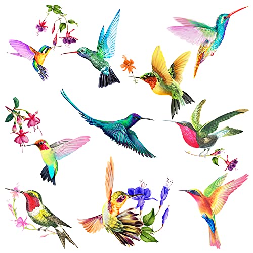 20 Pieces Large Size Hummingbird Window Hummingbird Decals for Windows Anti-Collision Window Clings Decals to Prevent Bird Strikes on Window Glass Non Adhesive Vinyl Cling Hummingbird Stickers
