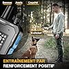 ABBIDOT Collier de Dressage pour Chien - 3500m, Modes Personnalisés, Collier Anti Aboiement Rechargeable et étanche avec Télécommande, Collier Electrique pour Petits et Gros Chiens