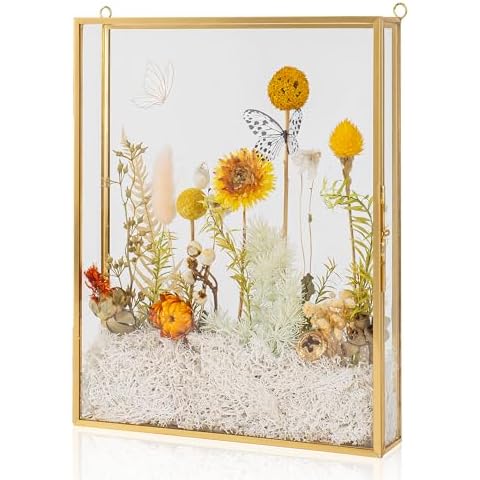 Jajamy 8x10 Shadow Box Frame Cover