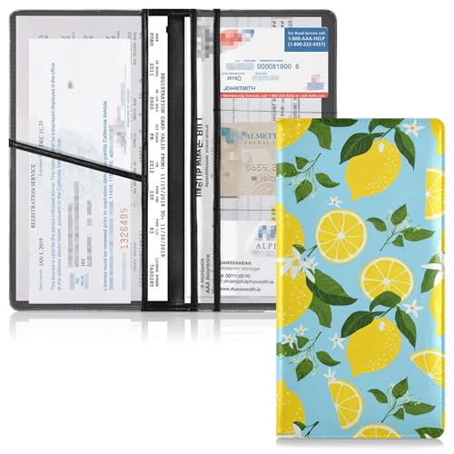 Organizador de documentos para carro compacto miniatura 2