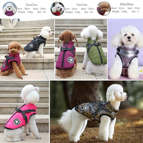 Hunde-Wintermantel mit Geschirr, Outdoor, warme kleine Hundejacke, kaltes Wetter, gepolsterte Hundeweste, Kleidung für Katzen, Welpen, kleine Hunde