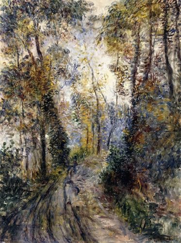 Impression Tableaux Graffiti Art Mural Renoir Poster 60x90
