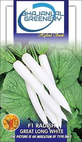 BHAJANLAL GREENERY® Seeds Radish Imported White- Muli Seeds Vegetable seeds Kitchen Garden Packet (MULI SEEDS) (B08MY6DB7R) Amazon Price History, Amazon Price Tracker