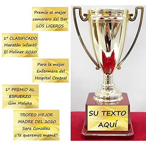 Troféu para personalizar tamanho 17,5 cm de altura, especial para presentes personalizados, entrega de prémios, eventos desportivos e culturais