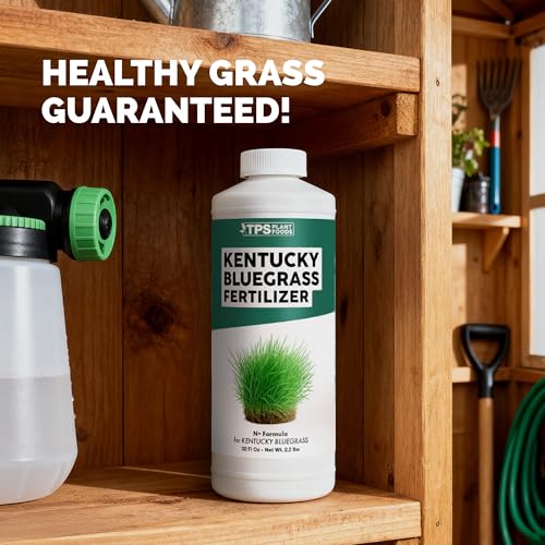 Fertilizante líquido para césped Kentucky Bluegrass 8 oz miniatura 7