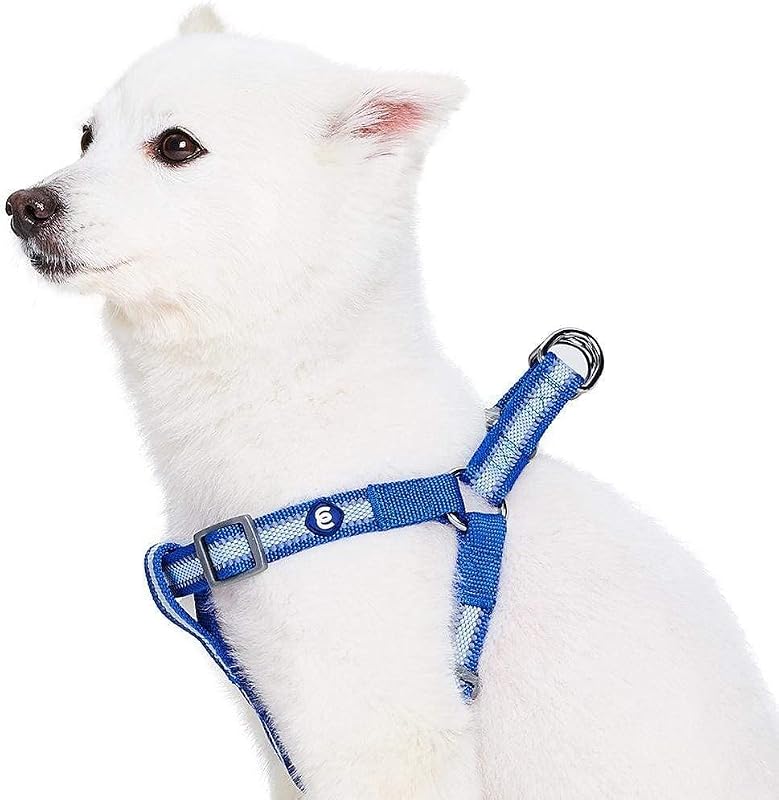 Essentials Step-in Reflective Back to Basics Dog Harness, Navy Blue, Chest Girth 16.5" - 21.5", Small, Adjustable Harnesses for Dogs
