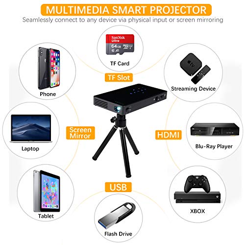 Amazon.com: PTVDISPLAY