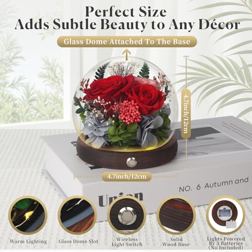 Valentines Day Gifts for Her, Forever Rose Birthday Gifts for Women, Preserved Flowers in Glass Dome, Eternal Flowers for Delivery Prime (Red Rose) - Image 4