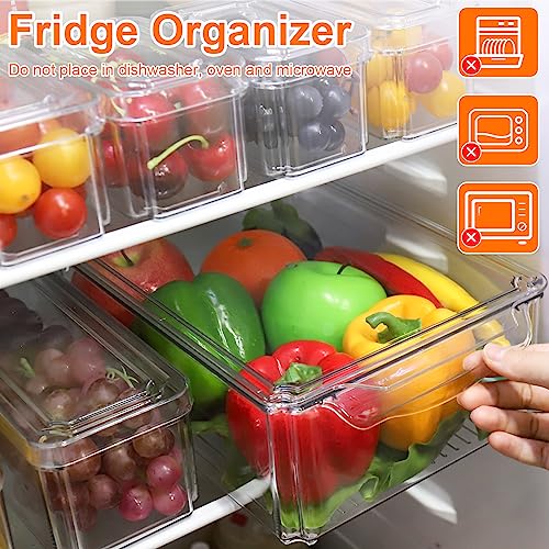 Diealles Shine Organizer Frigorifero, Set di 7