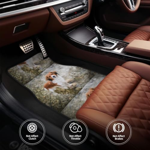 Alfombrillas para coche que no se mueven: juego de neopreno con diseño de perros 5