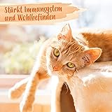 Ida Plus – Heilmoor + Bierhefe - Verbessert Kotbeschaffenheit– Darmflora Plus - optimale Verdauung bei Hund & Katze – wertvolle B-Vitamine –– mit natürlichem Torf aus dem Hochmoor - 1000 g oder 200 g