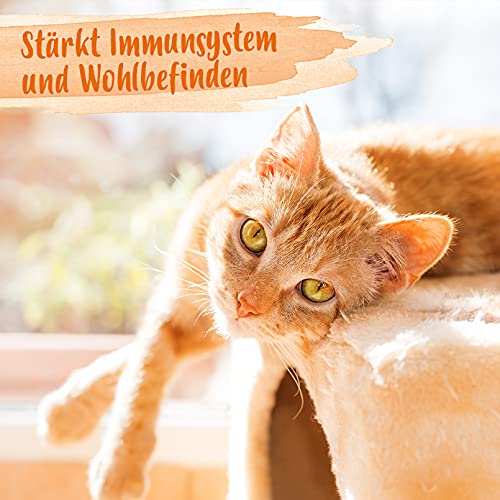 Ida Plus – Heilmoor + Bierhefe - Verbessert Kotbeschaffenheit– Darmflora Plus - optimale Verdauung bei Hund & Katze – wertvolle B-Vitamine –– mit natürlichem Torf aus dem Hochmoor - 1000 g oder 200 g