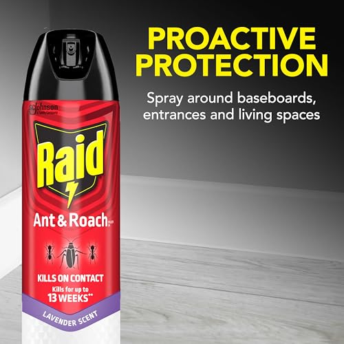 Image of Raid Ant & Roach Killer Spray for Listed Bugs, Keeps Killing for Weeks, Lavender Scent, 17.5 oz (Pack of 2)