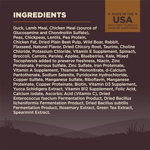 Wellness CORE Wild Game Dry Dog Food 22lb 4