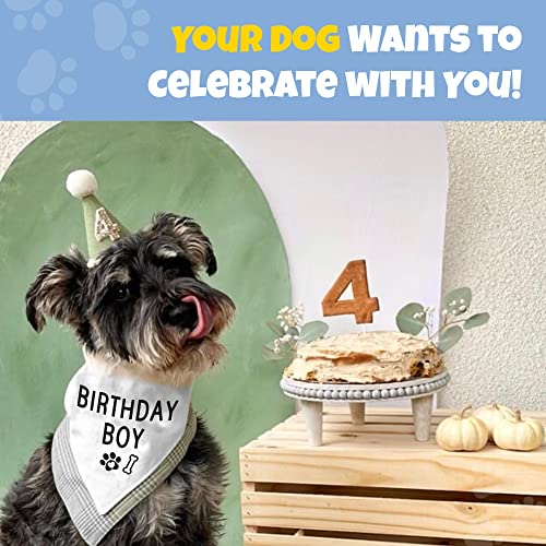 Houndnine - Dog Birthday White Bandana - Perfect Triangle Cotton Scarf Accessories For Pets Dog Bandanas Boy Birthday Outfit Dog First Birthday Party Bibs For Small And Medium Size - 28 X 11 #TOP2