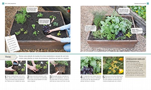 Horta Completa em Espaços Pequenos