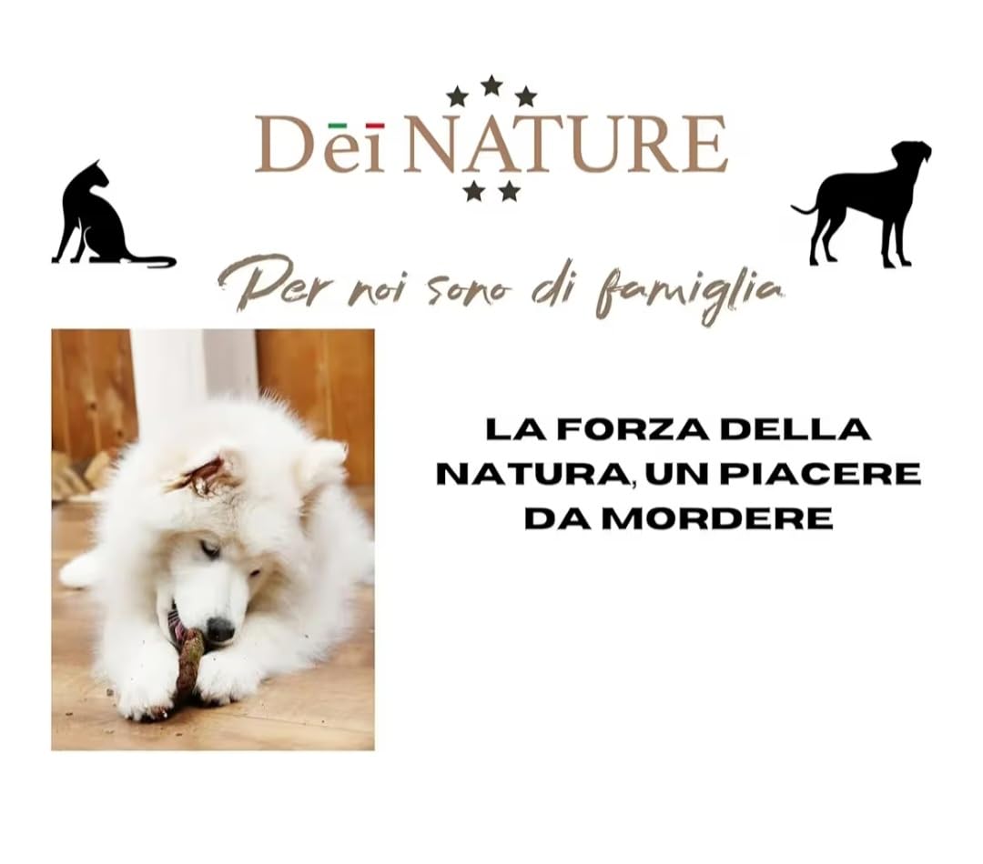 Nervio Bovino Premium para perros, 1 kg, longitud aprox. 12 cm, Snack masticativo 100% natural