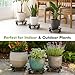 2 Packs Metal Plant Caddy with Wheels 13” Heavy-duty Wrought Iron Rolling Plant Stands with Casters Indoor and Outdoor Plant Pot Roller Base Plant Saucer Movers Black, Strong Load Capacity