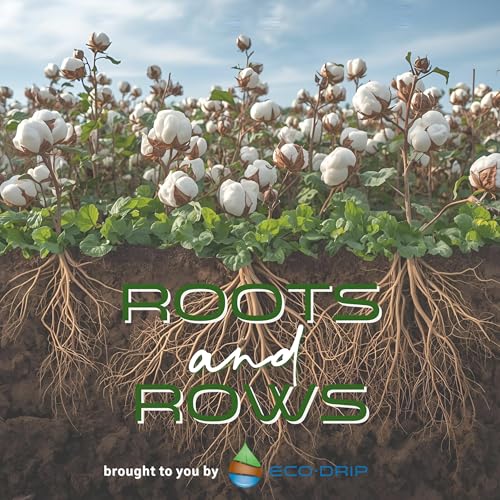 Roots & Rows cover art