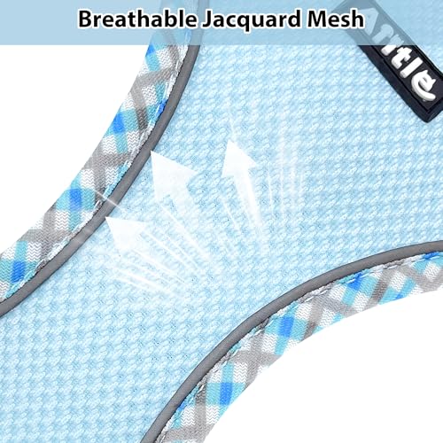 AIITLE Hundegeschirr und Leine Set, No Pull Schritt in Welpengeschirr mit Super atmungsaktivem Mesh, einstellbare reflektierende Welpen Essentials für die Ausbildung für kleine Hunde, Katzen Blau XS