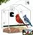 Window Bird Feeder with Camera, Smart Clear Birdfeeder for Outside, 2K HD Live View & AI Bird 10000+, Window Bird House Feeder with 6 Suction Cups