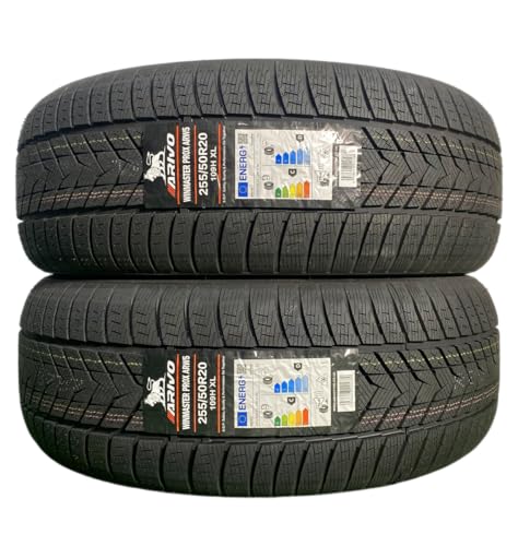 255/50R20 109H XL ARIVO ARW5 X^bhX^C 2{Zbg 2025N ~^C