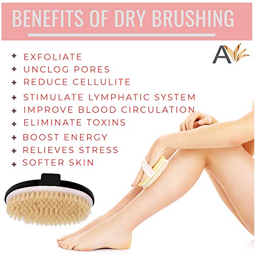 Image of Exfoliating Brush Dry Brush For Wet or Dry Brushing, Body Brush With Natural Bristle For Glowing SKin, Cellulite Treatment, Lymphatic Drainage and Blood Circulation (Oval-Black Wood)
