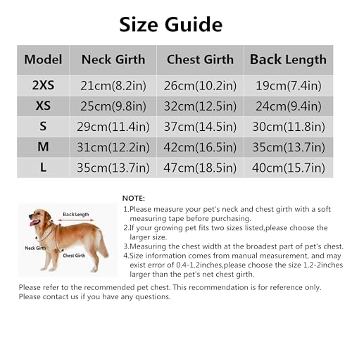 Robe tendance pour chien et chat parfaite pour les sorties au parc