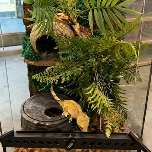Grotte pour reptiles : abri anti-stress en tronc réaliste
