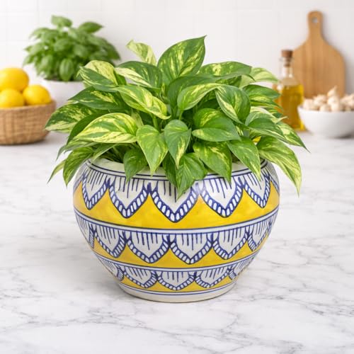 Image of Niyara Hand-Painted Ceramic Flower Pot | Blue & Yellow Decorative Bowl Planter | Indoor Outdoor Plant Pot for Home, Offic e & Balcony Decor (Yellow & White)