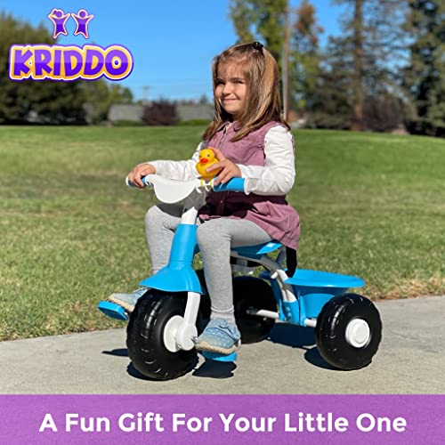The 30 Best Kids' Tricycles of 2023 [Verified] Cherry Picks