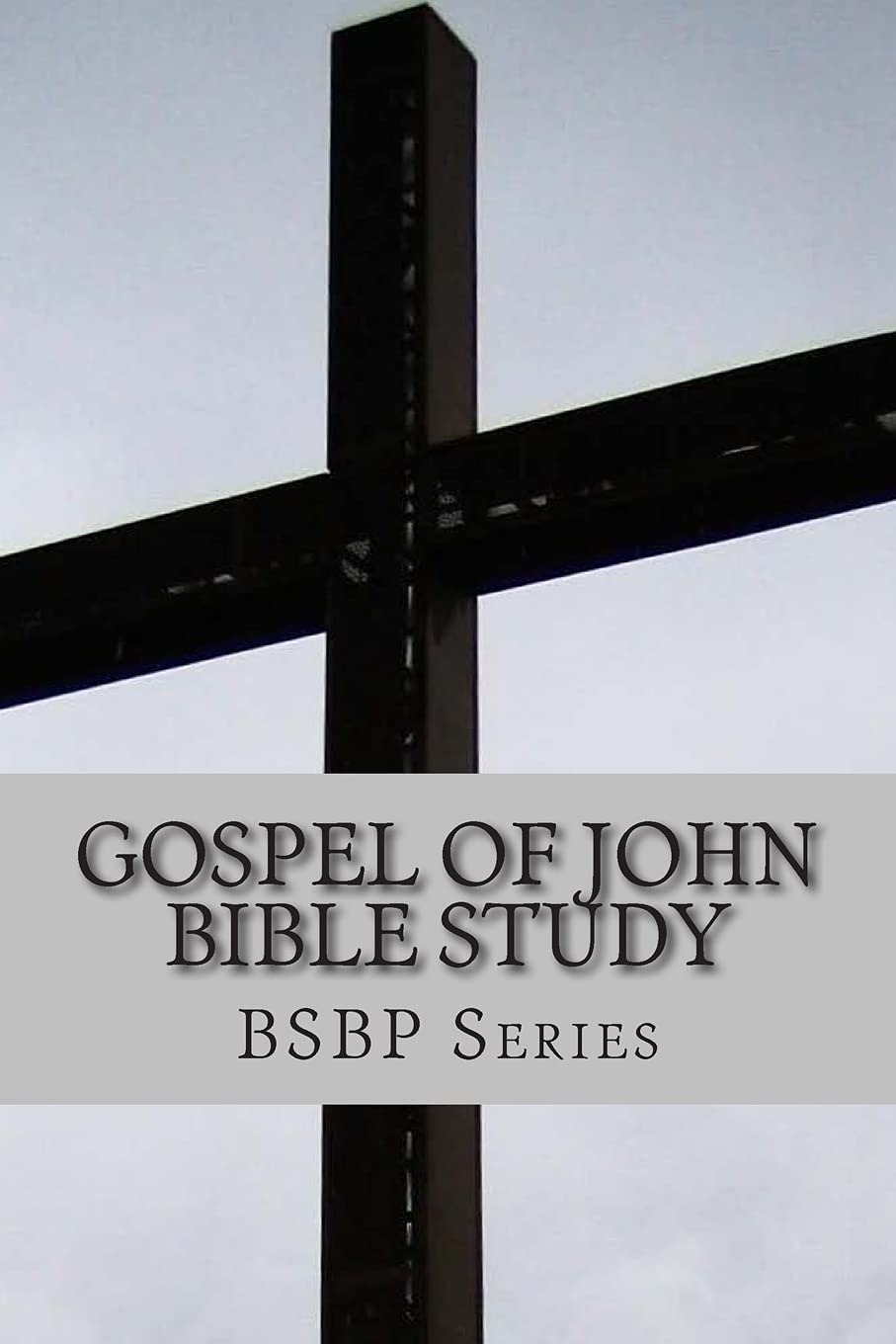 Gospel of John Bible Study: 43 (BSBP)