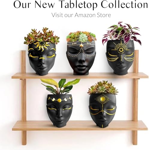 Image of Ceramic Lady Face Wall Hanging Planter | 17.5 x 13.5 cm Abstract Face Vase for Indoor Wall, Living Room, Balcony & Home Decor (Golden)