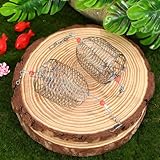 Gatuida B0FVV7TFGH lato 4