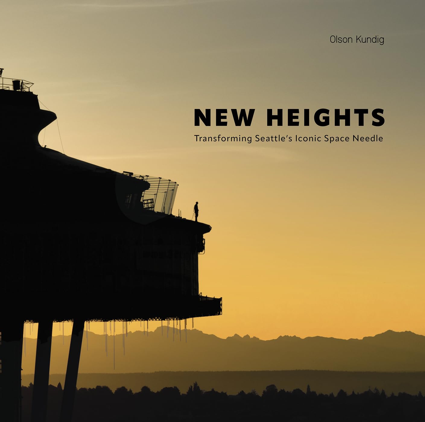 Livre New Heights Seattle Space Needle architecture icône