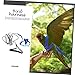 Happyyami Elastic Pulling Rope Bird Harness Parrot Leash Parrot Training Rope Cockatiel Harness Supplies