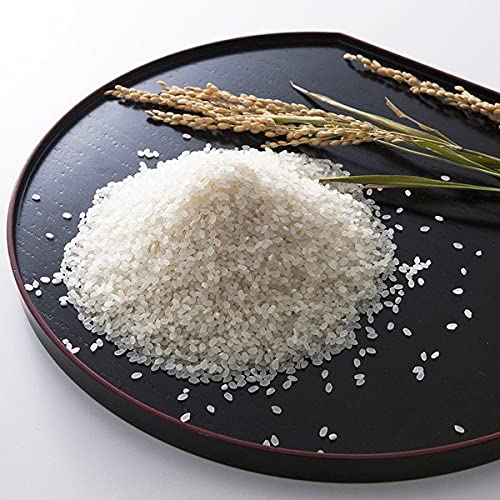 食品 令和七年産コシヒカリ 近江米 農薬不使用 10kg