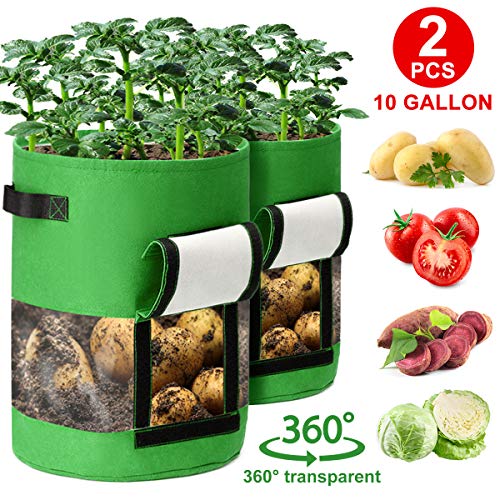 CAVEEN 2PCS x 10 Gallons Bolsas de Cultivo de Papa, Bolsa de Cultivo de Plantas, Tela no Tejida Bolsa para Plantar para Papa, Zanahoria, Tomate y Cebolla (2 Piezas - 10 Gallons, Verde)