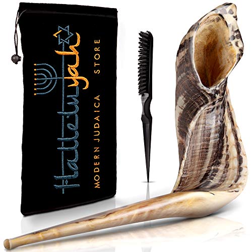 HalleluYAH Shofar From Israel: 20'-24' KOSHER ODORLESS Ram Horn Shofar - Smooth Mouthpiece, Velvet...