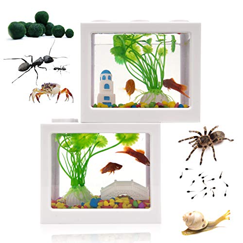 Small Betta Fish Tank,Fish Bow Aquarium with Gravel Plants Rocks Feeder,Small Fish Tank for Turtle Reptile Jellyfish Goldfish Shrimp Moss Balls Insects,Table Decoration Box